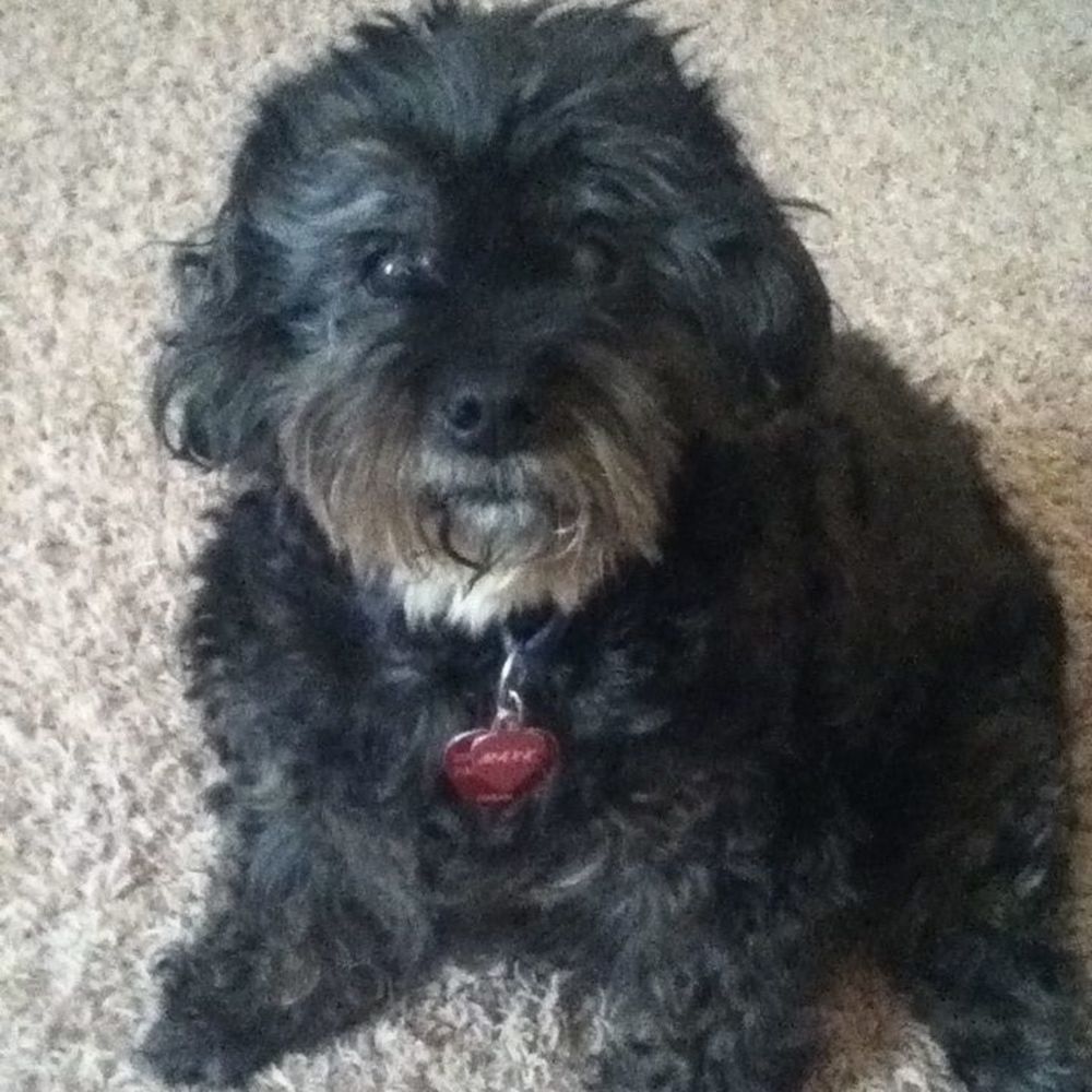 Meet your Posher, Tammy